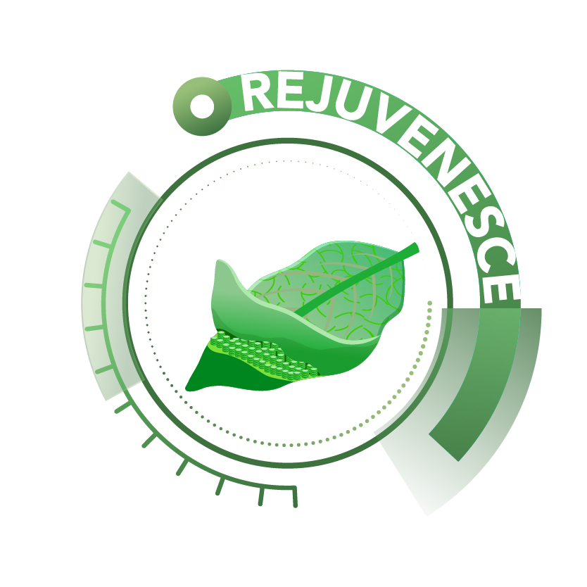 Rejuvenece